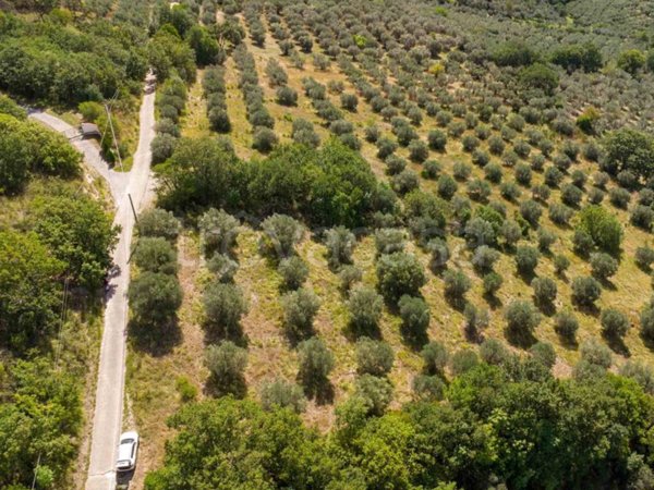 terreno agricolo in vendita a Poggio Nativo