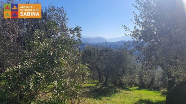 terreno edificabile in vendita a Poggio Nativo