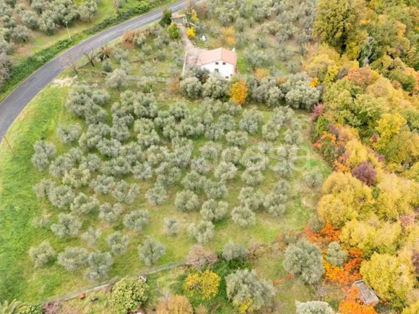 terreno agricolo in vendita a Poggio Nativo
