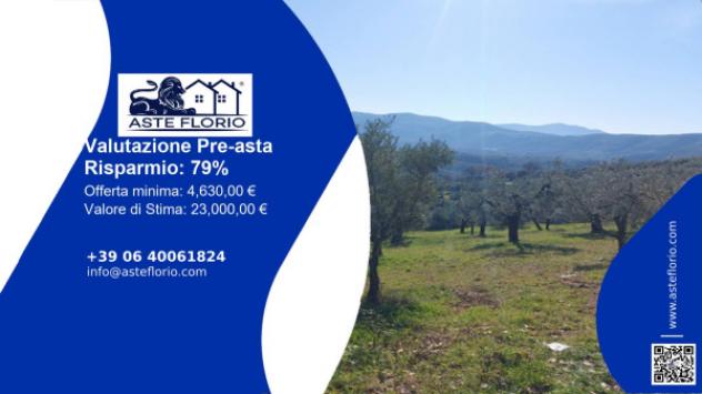 terreno agricolo in vendita a Poggio Nativo