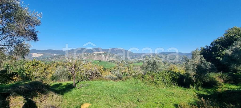 casa indipendente in vendita a Poggio Nativo