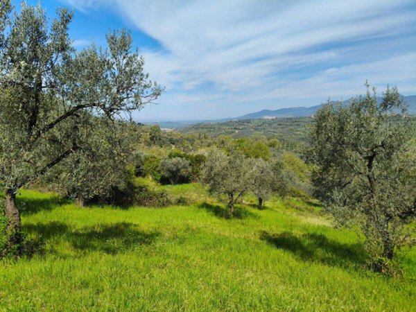 terreno agricolo in vendita a Poggio Nativo