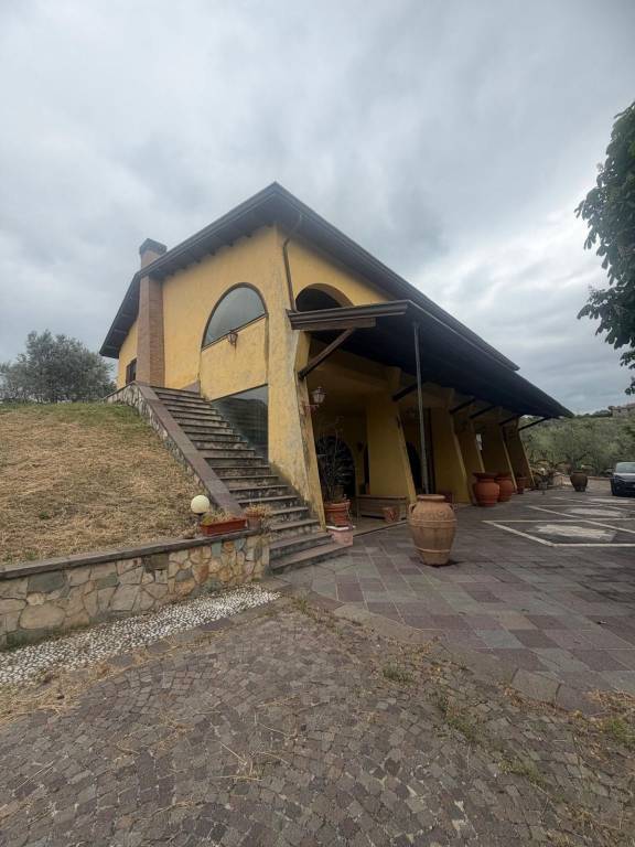 immagine annuncio 0 di 15