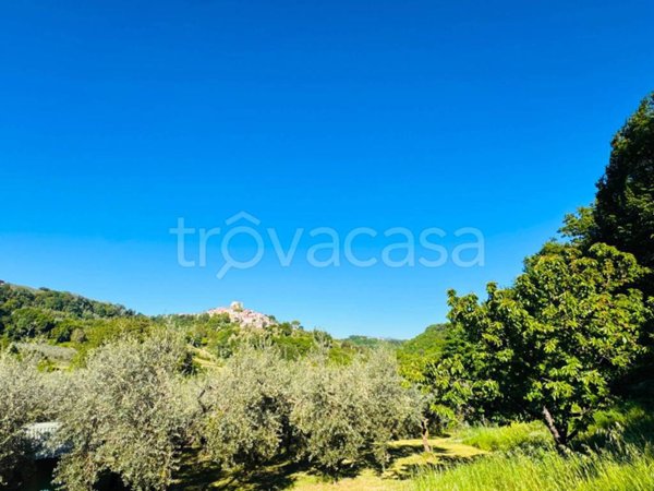 casa indipendente in vendita a Poggio Nativo