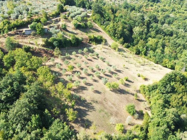casa indipendente in vendita a Poggio Nativo