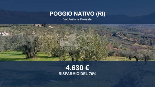 terreno agricolo in vendita a Poggio Nativo