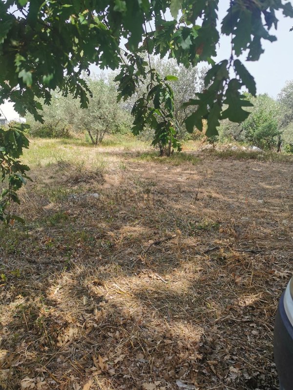 bifamiliare in vendita a Poggio Nativo