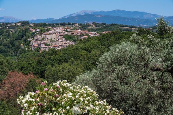 terreno in vendita a Poggio Nativo