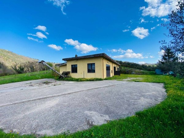 negozio in vendita a Poggio San Lorenzo