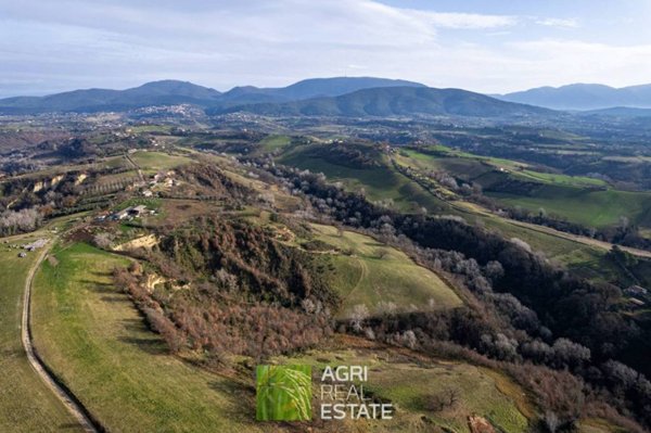 azienda agricola in vendita a Rieti