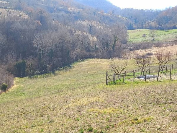 terreno agricolo in vendita a Rieti in zona Poggio Fidoni