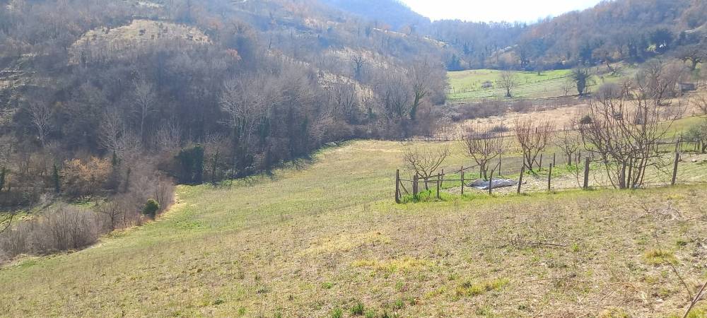 terreno agricolo in vendita a Rieti in zona Poggio Fidoni