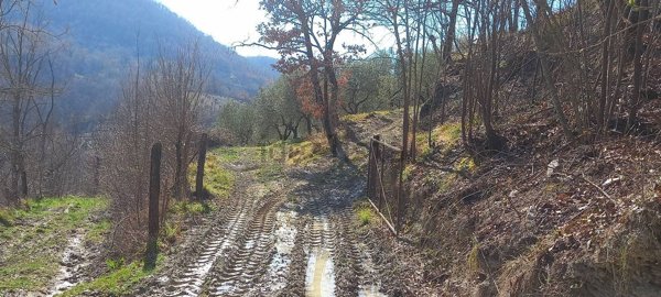 terreno agricolo in vendita a Rieti in zona Poggio Fidoni