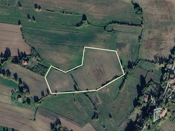 terreno agricolo in vendita a Rivodutri