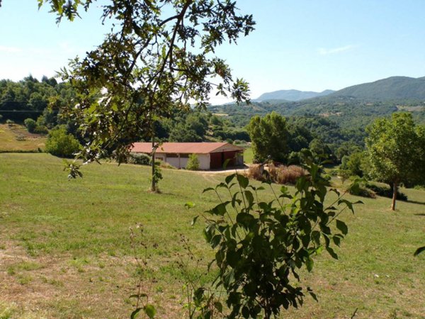 negozio in vendita a Rocca Sinibalda