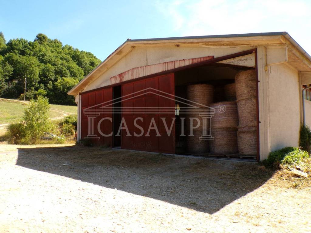 casa indipendente in vendita a Rocca Sinibalda in zona Torricchia