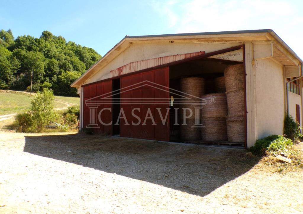 casa indipendente in vendita a Rocca Sinibalda in zona Torricchia