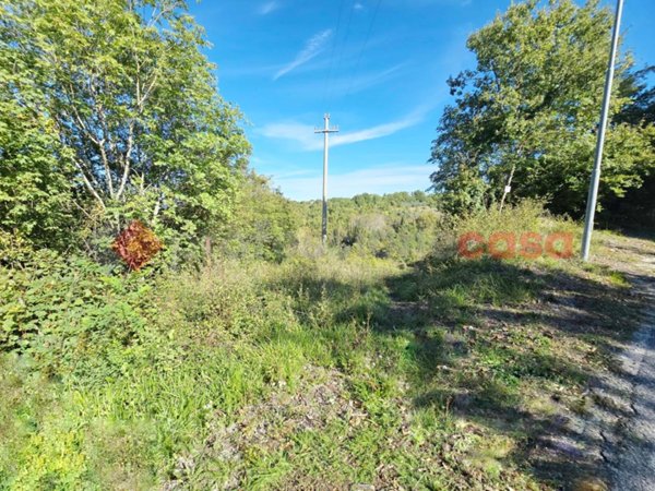 terreno agricolo in vendita a Rocca Sinibalda