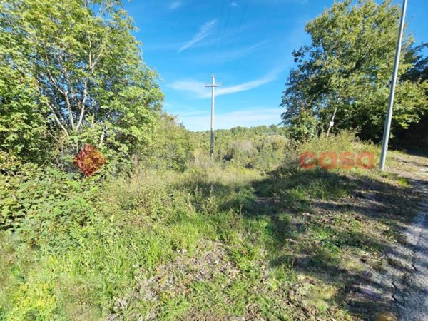 terreno agricolo in vendita a Rocca Sinibalda