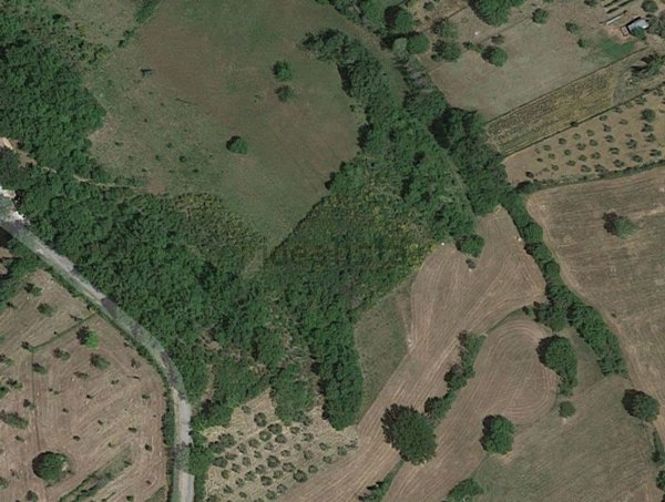 terreno agricolo in vendita a Rocca Sinibalda