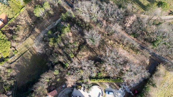 terreno agricolo in vendita a Rocca Sinibalda