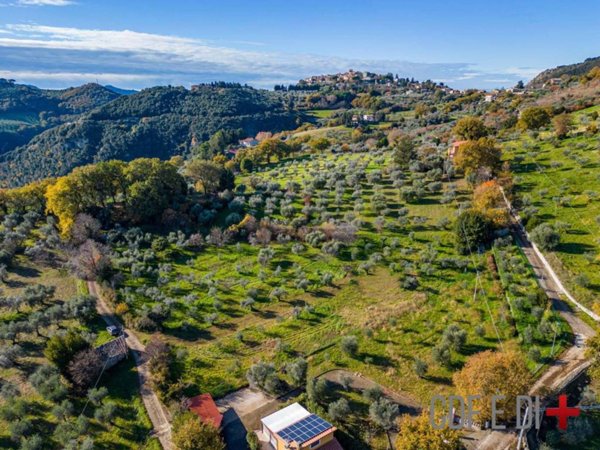 terreno agricolo in vendita a Salisano