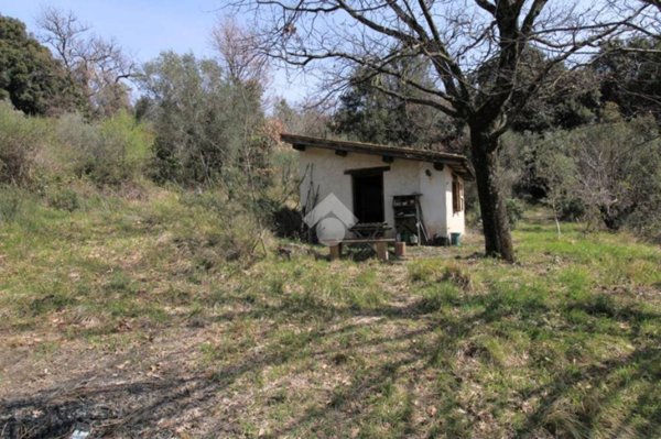 bivano in vendita a Salisano