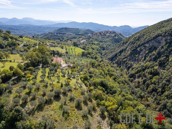 terreno agricolo in vendita a Salisano