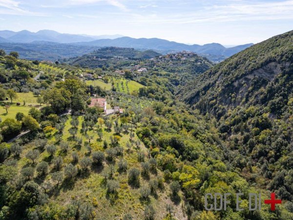 terreno agricolo in vendita a Salisano