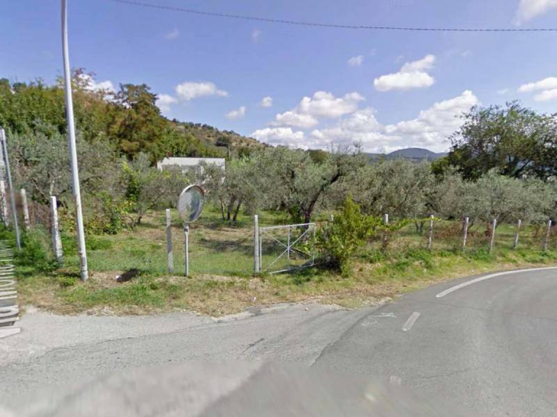 terreno agricolo in vendita a Salisano