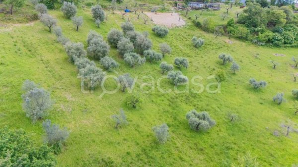 terreno agricolo in vendita a Salisano