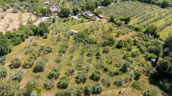 terreno agricolo in vendita a Salisano