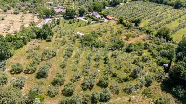 terreno agricolo in vendita a Salisano