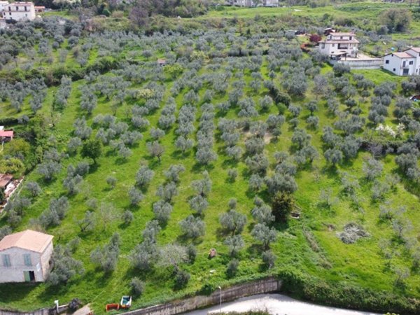 terreno agricolo in vendita a Scandriglia