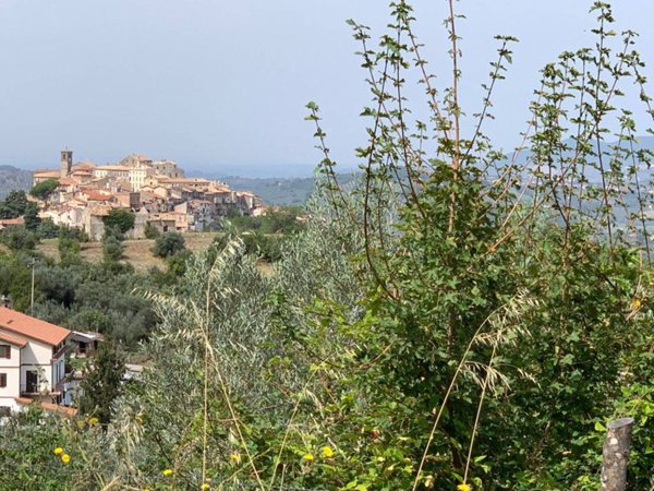 terreno agricolo in vendita a Scandriglia