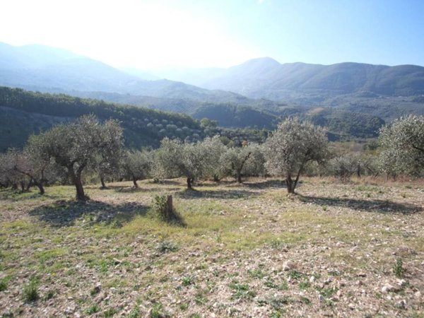 terreno agricolo in vendita a Scandriglia