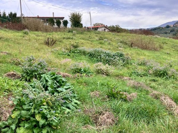 terreno agricolo in vendita a Scandriglia