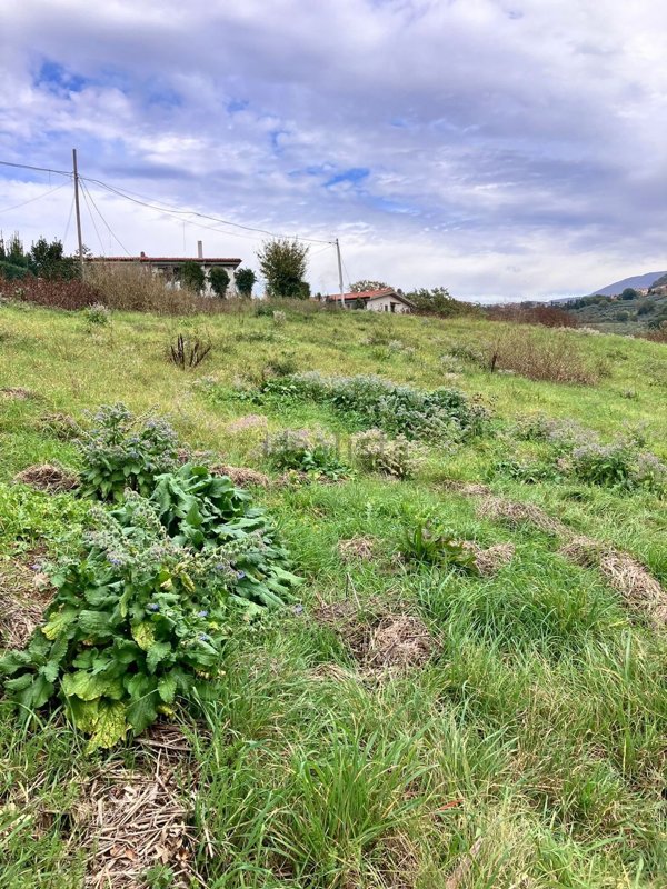 terreno edificabile in vendita a Scandriglia