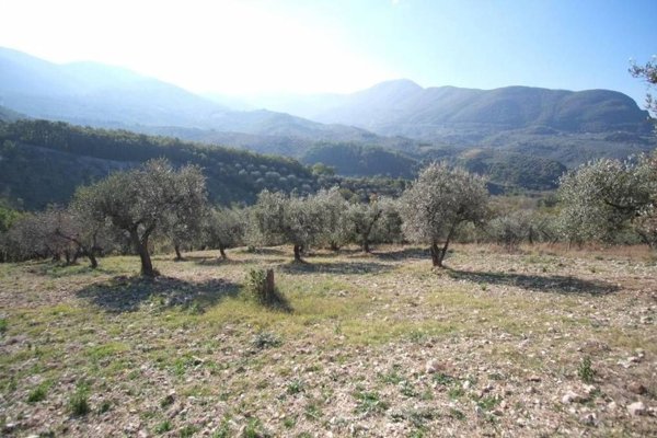 terreno agricolo in vendita a Scandriglia