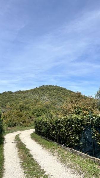 appartamento in vendita a Scandriglia