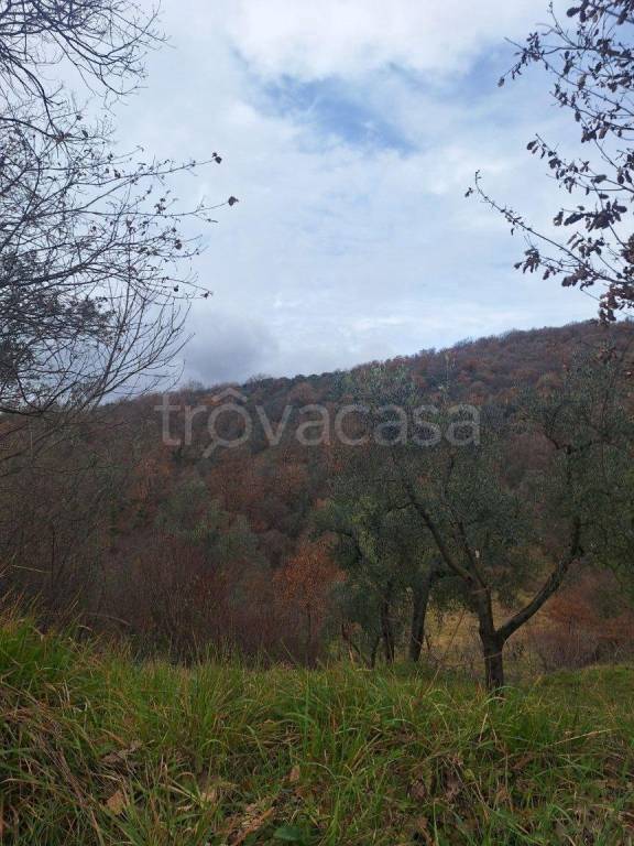 terreno agricolo in vendita a Scandriglia in zona Ponticelli