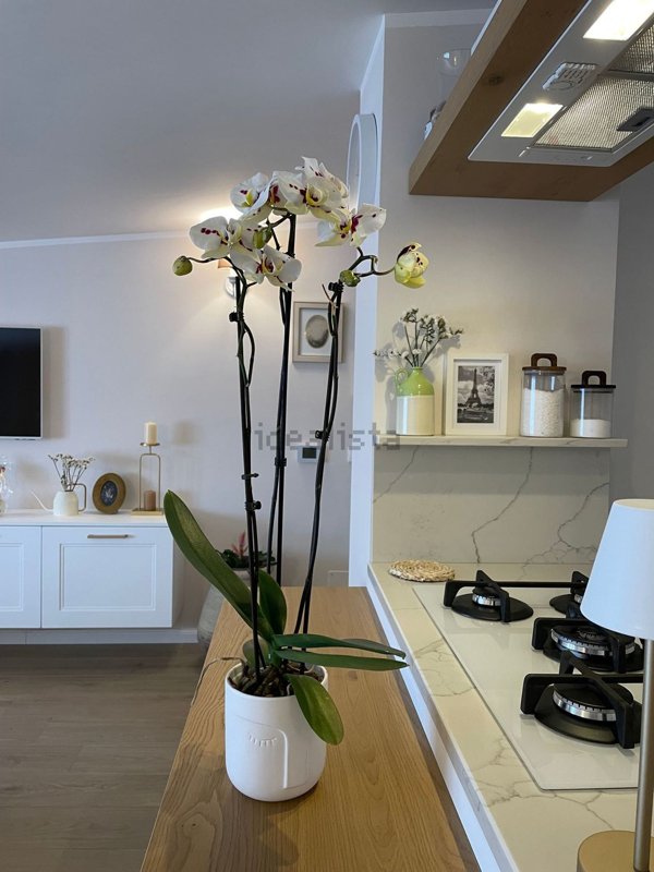 appartamento in vendita a Scandriglia