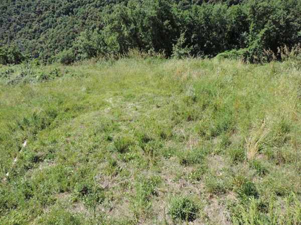 terreno agricolo in vendita a Scandriglia