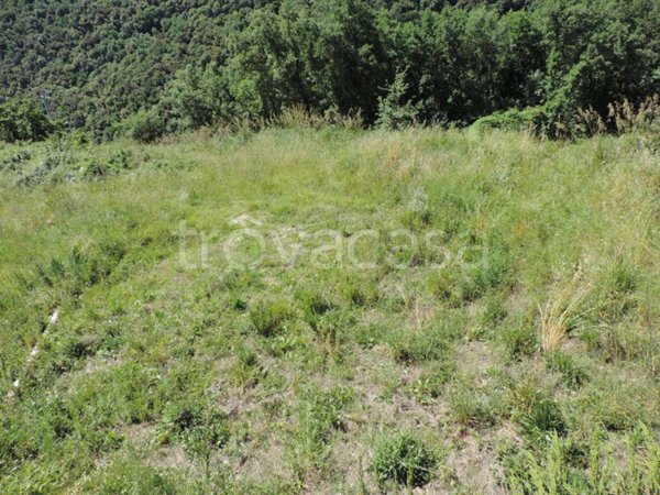 terreno agricolo in vendita a Scandriglia