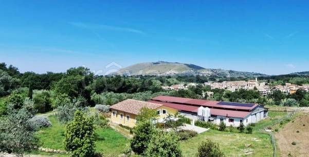 casa indipendente in vendita a Scandriglia in zona Ponticelli