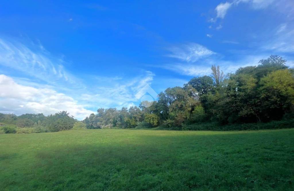 terreno agricolo in vendita a Selci