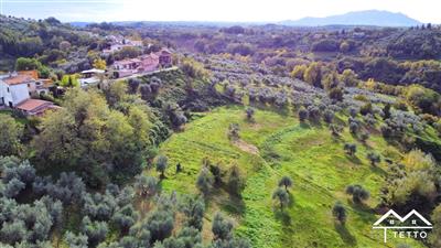 terreno agricolo in vendita a Selci
