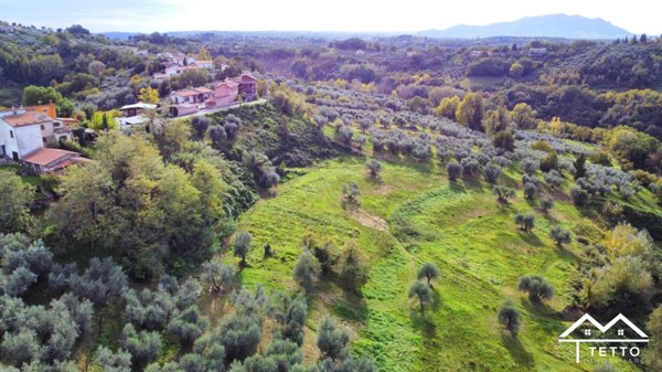 terreno agricolo in vendita a Selci