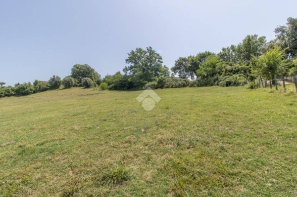 terreno agricolo in vendita a Selci