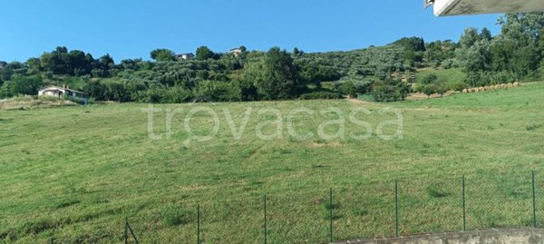 terreno agricolo in vendita a Selci